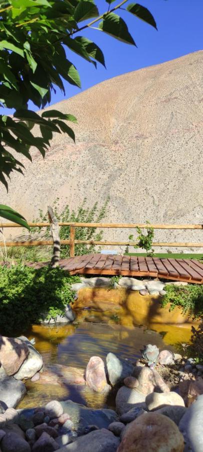 Casa Jardin De Hadas Con Vista Panoramica Писко-Эльки Экстерьер фото