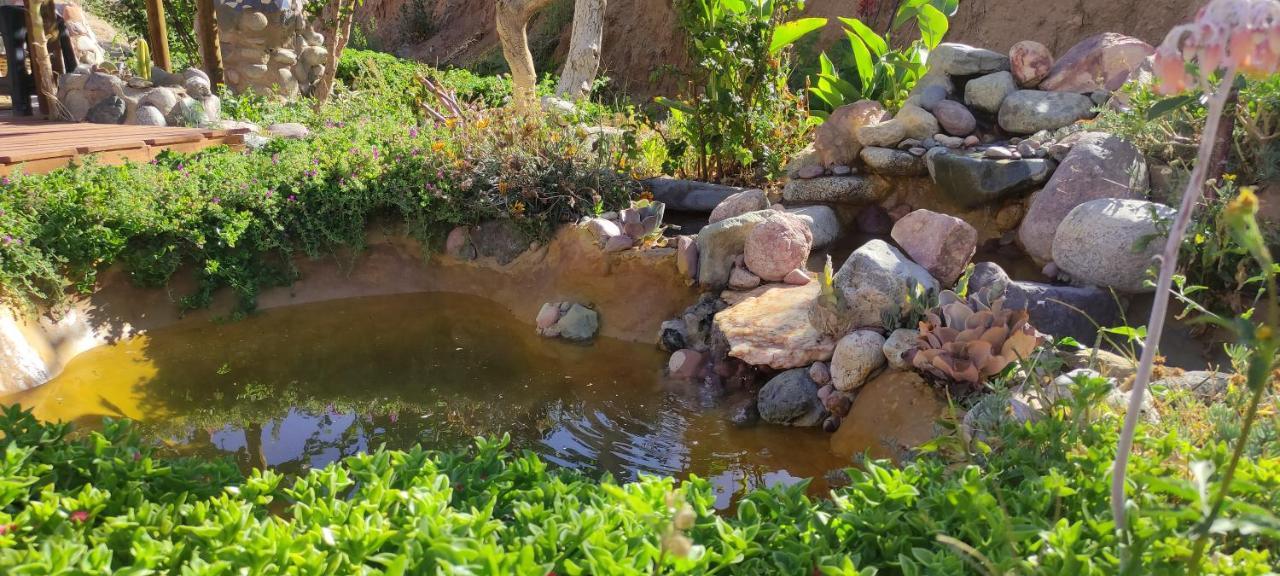 Casa Jardin De Hadas Con Vista Panoramica Писко-Эльки Экстерьер фото